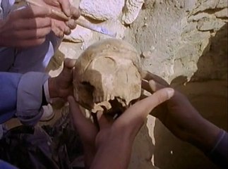 Égypte, Les Secrets des Pharaons / National Geographic / Les 25 Plus Beaux Films