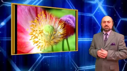 İman Hakikatlerinin Önemi