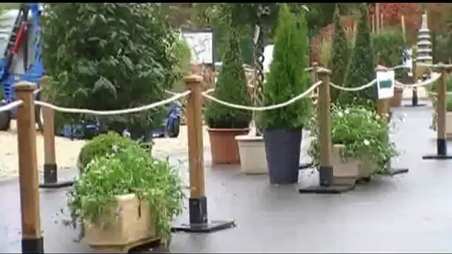 Location de plantes vertes