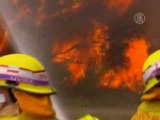 Пожары в Австралии взяли передышку, но ненадолго