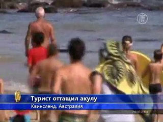 Турист оттащил акулу голыми руками