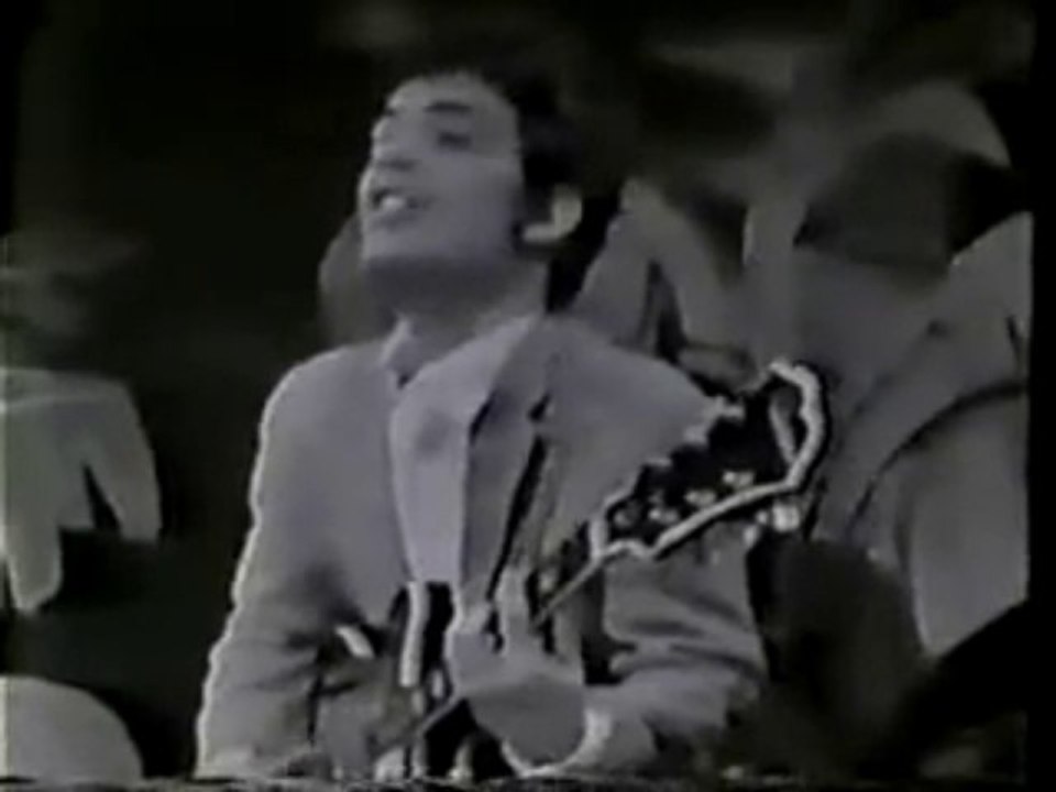 The 13th Floor Elevators - You're Gonna Miss Me (1966)