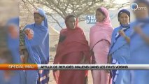 Afflux de réfugiés maliens dans les pays voisins