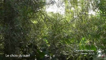 Gianne HARPER - artiste peintre - paysage réaliste - le sujet