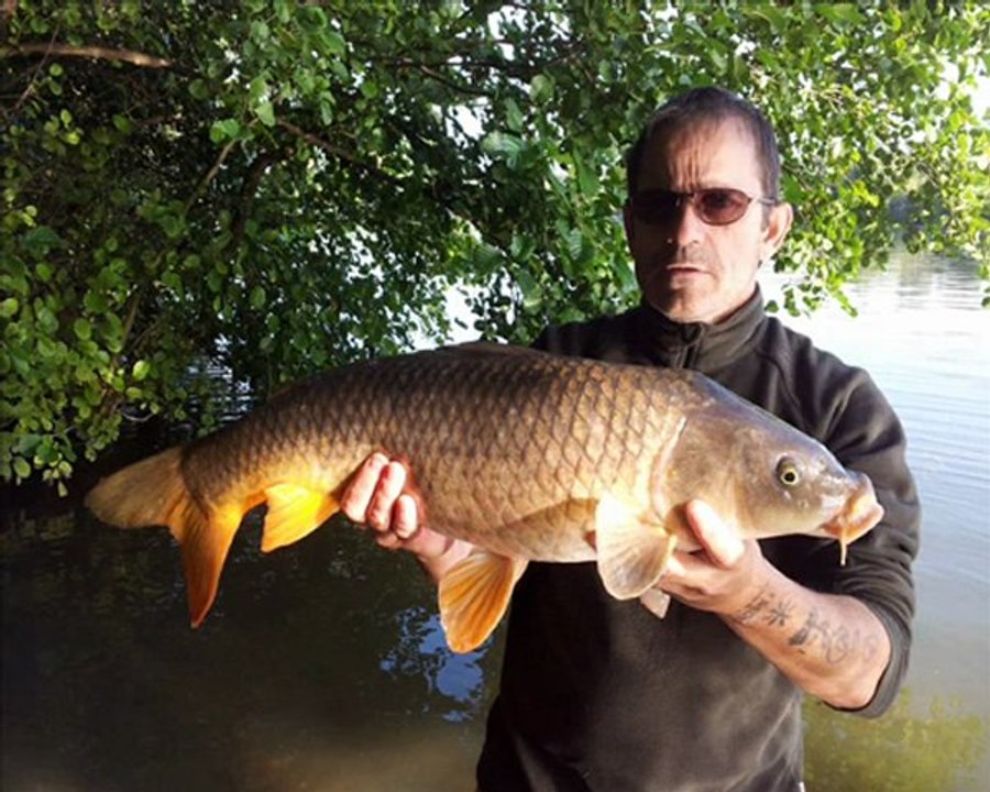 poissons 2012