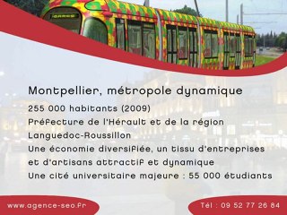 Referencement Montpellier