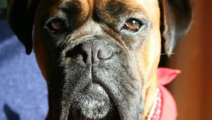 FUNKY EN VACANCES noël  2012.-2