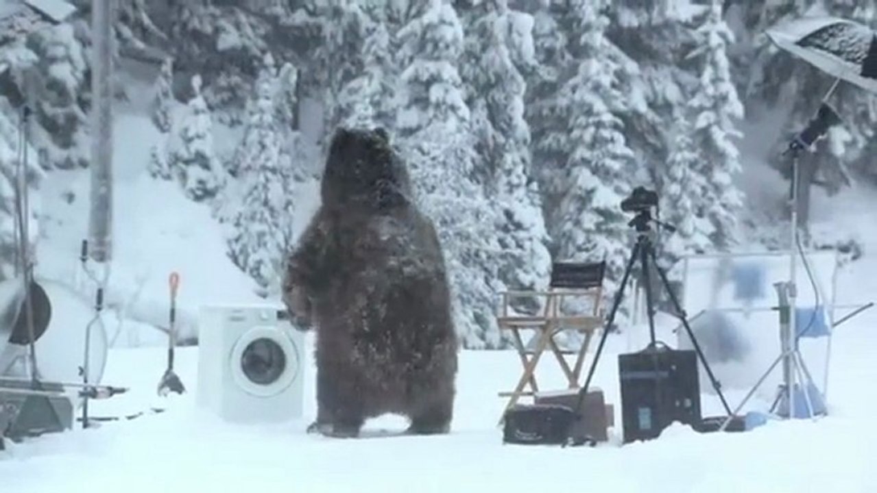 Un ours interrompt le tournage d'une pub de Samsung !