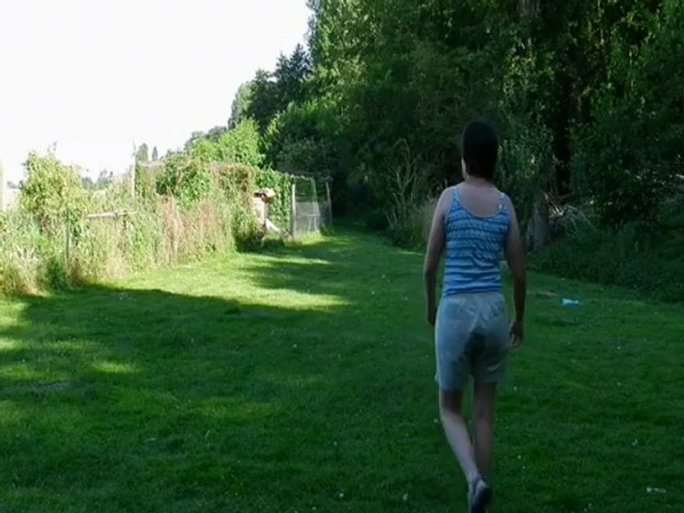 Spoty, bearded collie, fait du troupeau avec des poulets