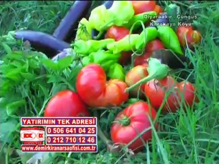 MEMLEKETİMİZE DEĞER KATIP TANITIMINDA BULUNAN SAYIN  (( ABDULLAH DEMİRKIRAN )) SONSUZ TEŞEKKÜRLER