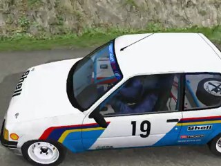 RSRBR 2013, ES C'ôte d'Arbroz, 205 Rallye F2000 S.DEWULF