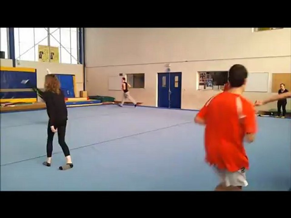 echauffement janv 2013 reduit