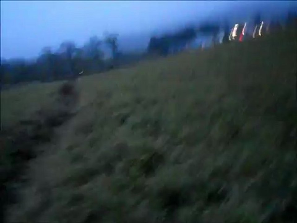 Meine Hunde draußen beim Spielen :)