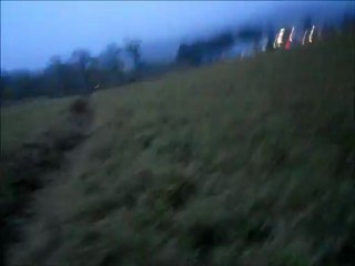 Meine Hunde draußen beim Spielen :)