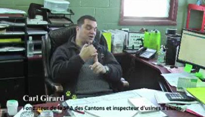 CONTRE les usines à chiots (Québec)