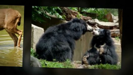 Experience the Magical Venture of Maharashtra Tourist Places