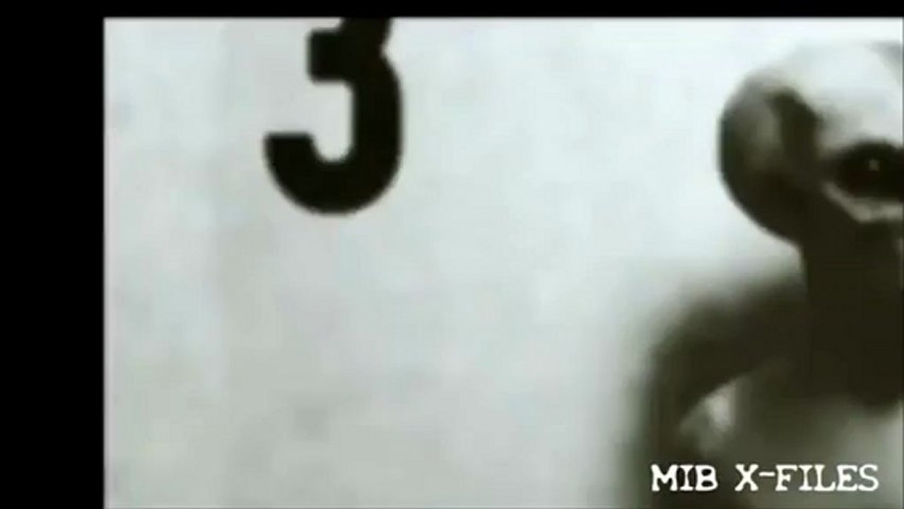 Alien.(fake?). 2013