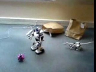 Sandra is playing with robots