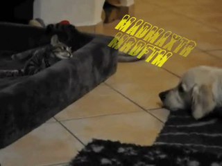 Sevginin sadece sözünü edenlerle onu yasayanlar arasında ne fark vardır?