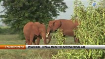 Poaching: Kenya asks for international aid