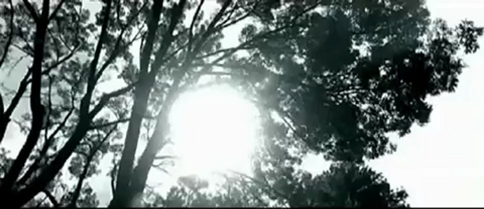 Özcan Deniz Nasip Değilmiş (9.Albüm Hediye)