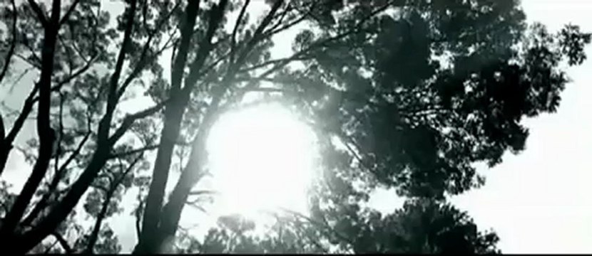 Özcan Deniz Nasip Değilmiş (9.Albüm Hediye)