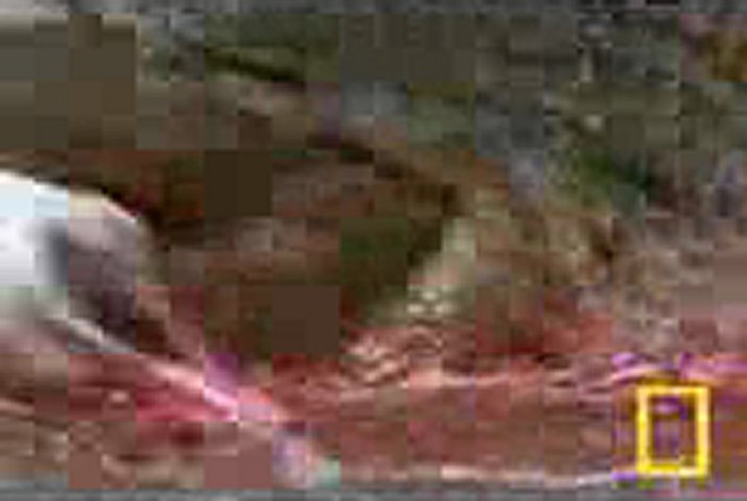 에이스카지노 ♞ ❂ＸＥＤ７００．ＣＯＭ ❂♞  정통카지노