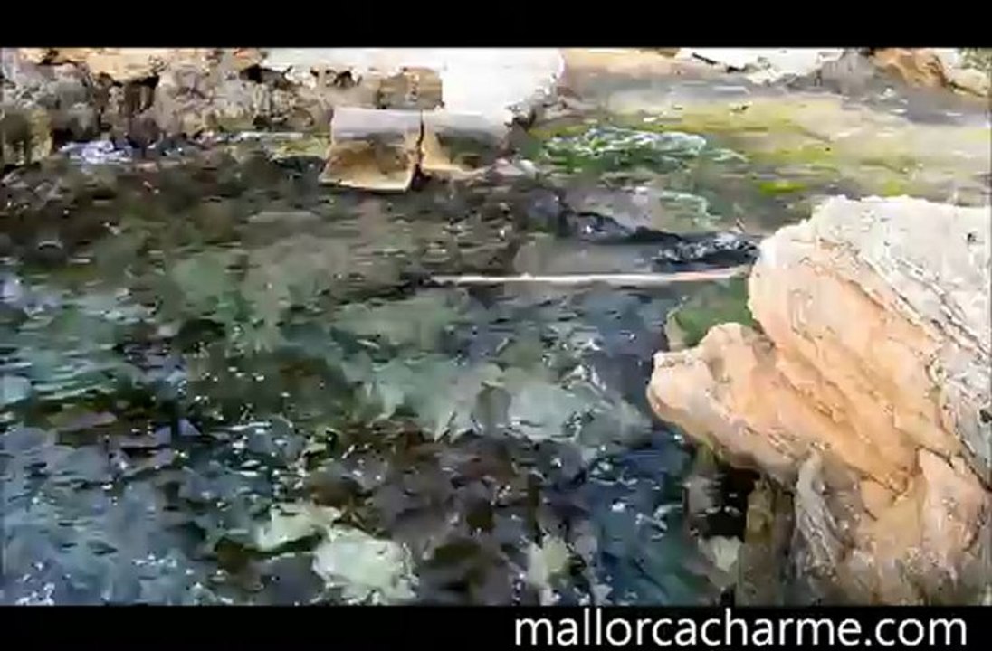 Mallorca, Mar amb moiment