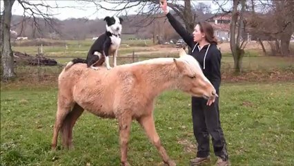 Altaya, Pré-débbourage, jeux et travail à pied !