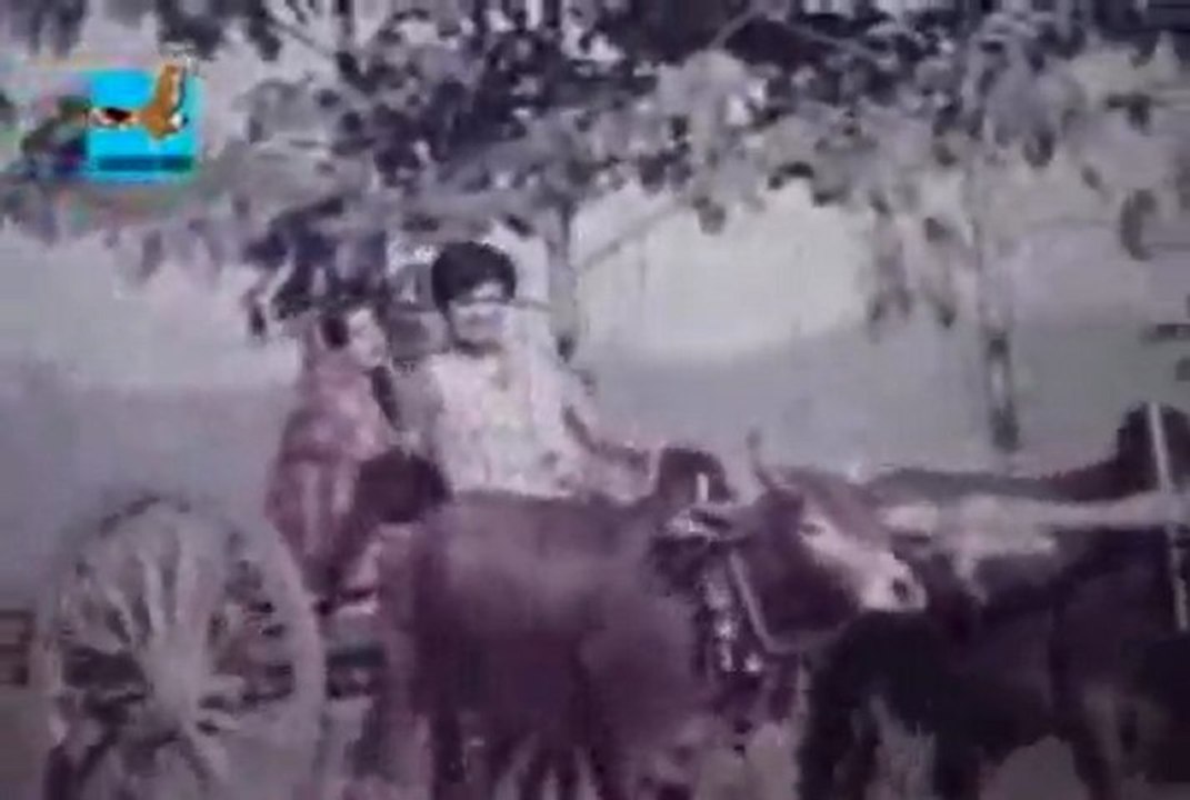 Amar gorur garite