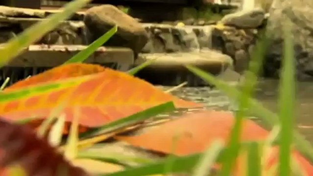 TRABZON Turizm Bakanlığı Trabzon İl Kültür ve Turizm Müdürlüğü asyadizi.com