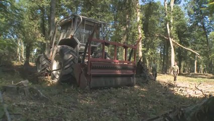 Forestiers par nature : Conducteur de travaux