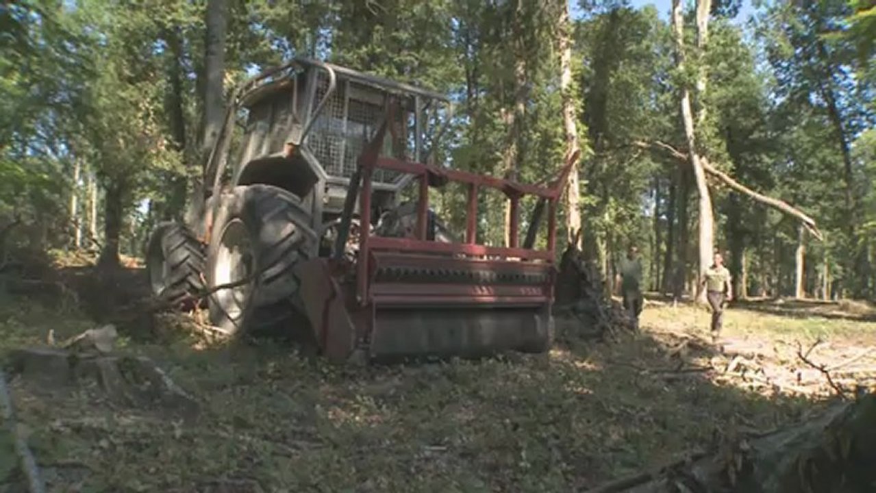 Forestiers par nature : Conducteur de travaux