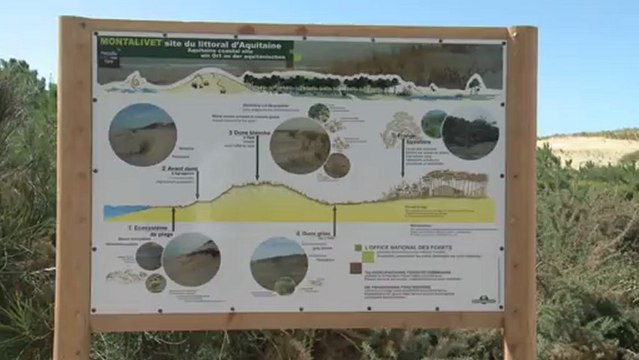 Protéger les dunes littorales