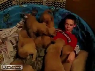 Çocuğu Canlı Canlı Yediler