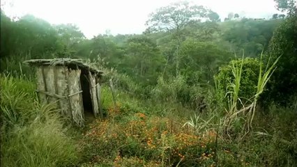Janvier 2013 - Souvenirs de la mission de la division du pacifique sud