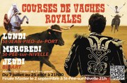 Courses de Vaches Royales à Saint Jean Pied de Port (64)