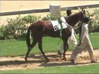 Karachi Race Club 2 December 2012 Race 2