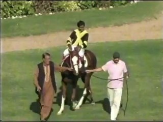 Karachi Race Club 2 December 2012 Race 4