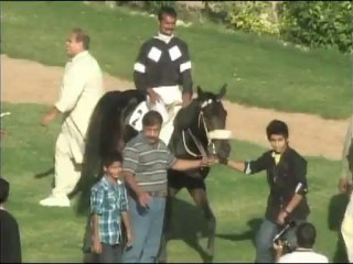 Karachi Race Club 2 December 2012 Race 5