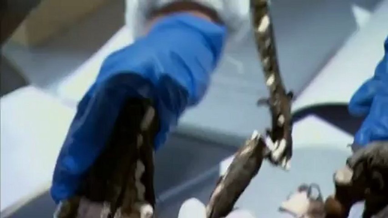 Chupacabra - Die Vampirbestie