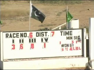 Karachi Race Club 2 December 2012 Race 6