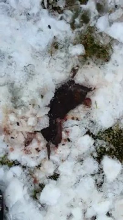 T'es dégueux_18jan13