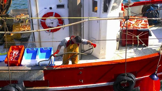 YANN 6 Quelles sont les qualités pour être un bon pêcheur?