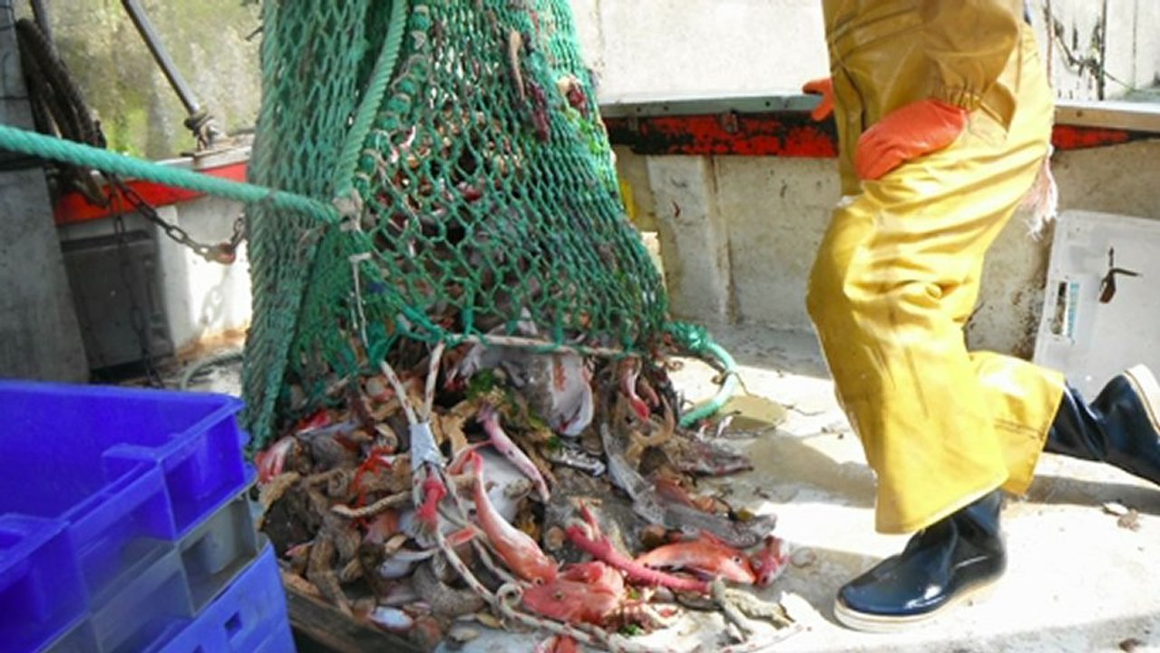 YANN 7  Est-ce que l’écologie a un avenir auprès des pêcheurs?