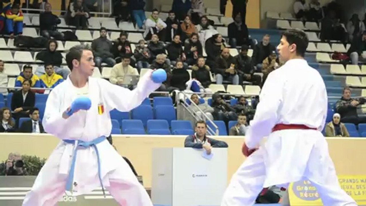 Karate 1 Premier League Paris 2013 - Bendiab s'impose chez les lourds