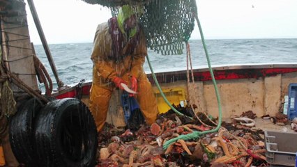 YANN 2 Qu’est ce qui te plaît dans ce métier?
