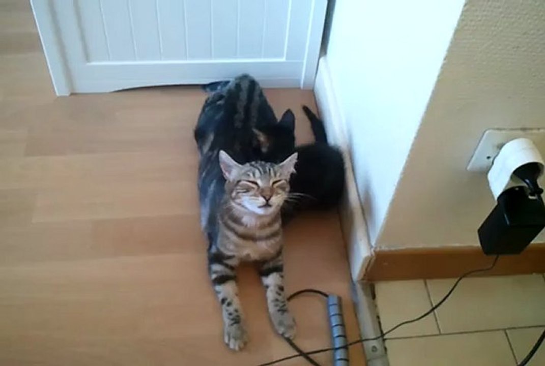 2012_09_Yui d'une grande patience avec bébé Chio