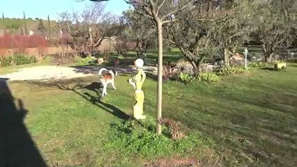 Course au portail sur trois pattes