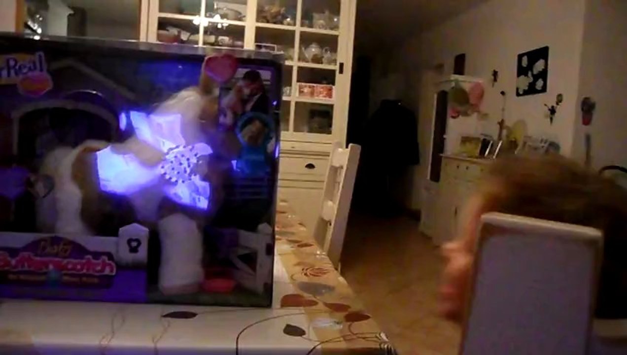 SAM_2088